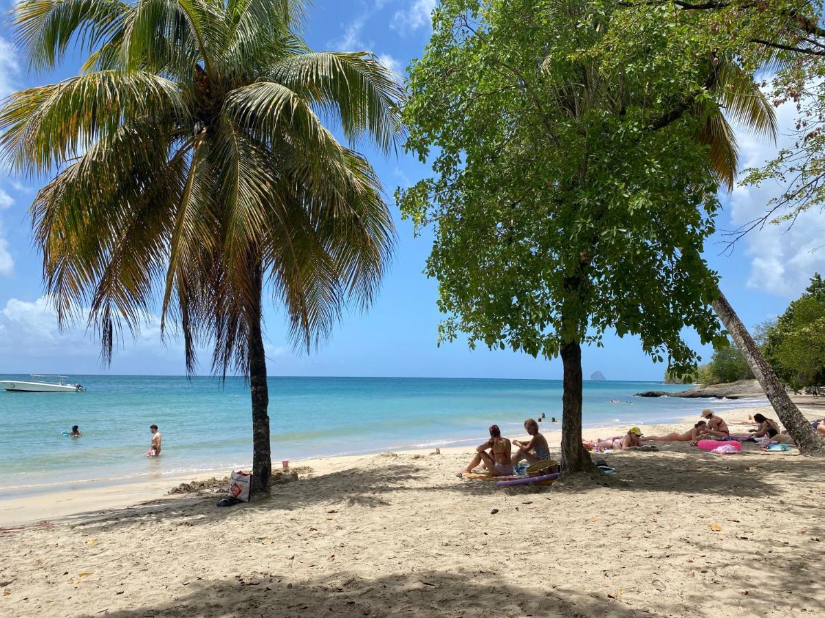 Studio Rdc La Desirade Martinique Acces Direct Plage Sainte-Luce Dış mekan fotoğraf