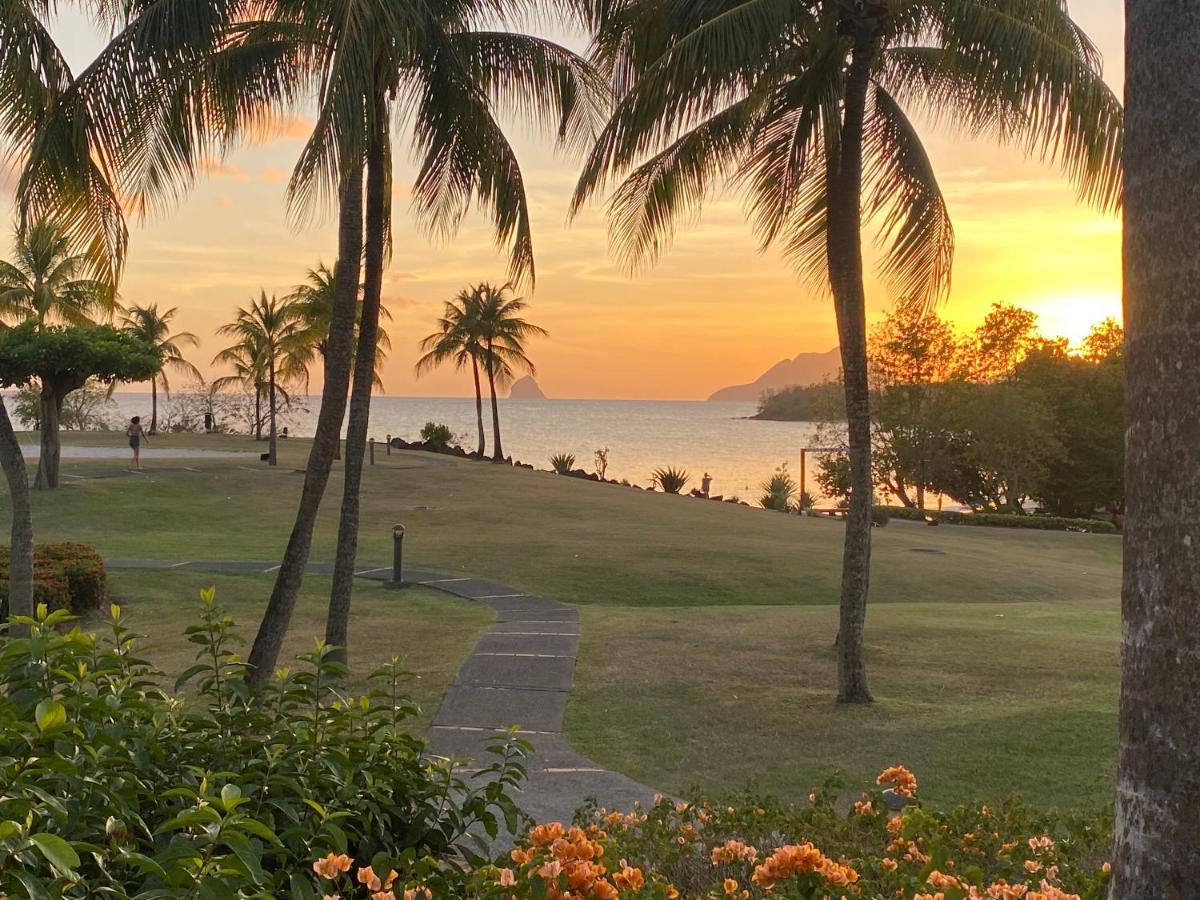Studio Rdc La Desirade Martinique Acces Direct Plage Sainte-Luce Dış mekan fotoğraf